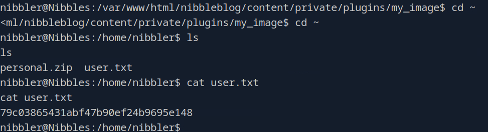 Pasted image 20250529094357.png